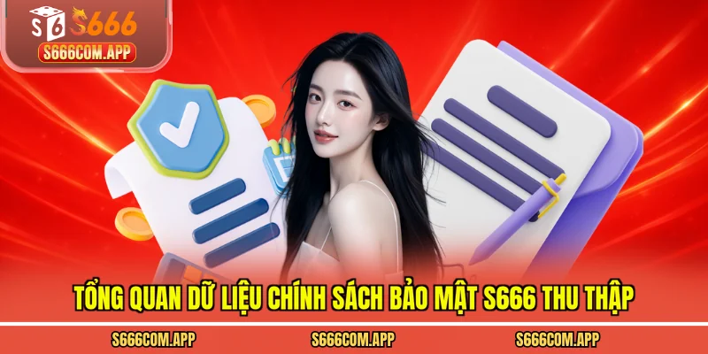 Tổng quan dữ liệu chính sách bảo mật S666 thu thập